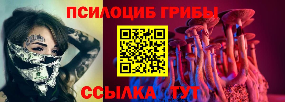 Киреевск  Псилоцибиновые грибы Magic Shrooms  Вход с VPN 